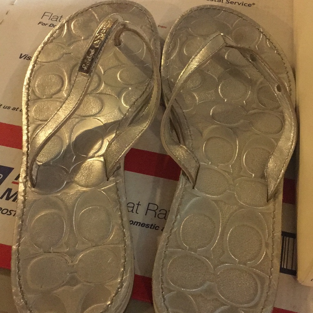 Silver Coach Sandals